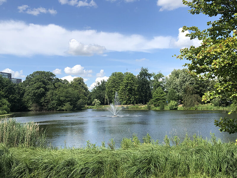 Het Wilhelminapark met uitzicht op de grote vijver op een zonnige dag in de zomer van 2023.