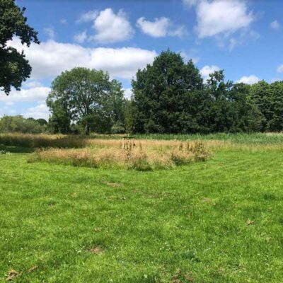 Axel Coumans 2022 Axel Coumans 2022