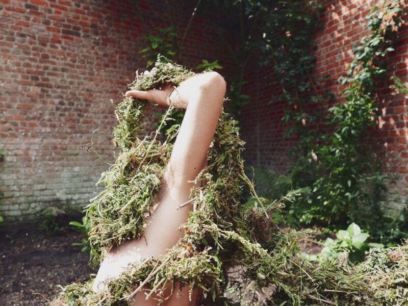 Op de foto is kunstenaar Roeland Rooijakkers te zien van de achterkant, terwijl hij verwikkeld is met wortels en planten.